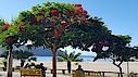 Promenade